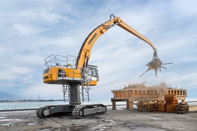 Перегружатели гусеничные LH 50 C High Rise Industry Litronic